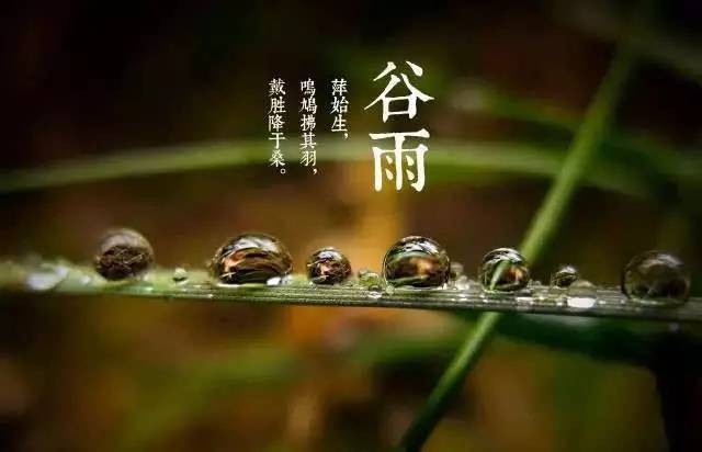 谷雨落花流水春去也