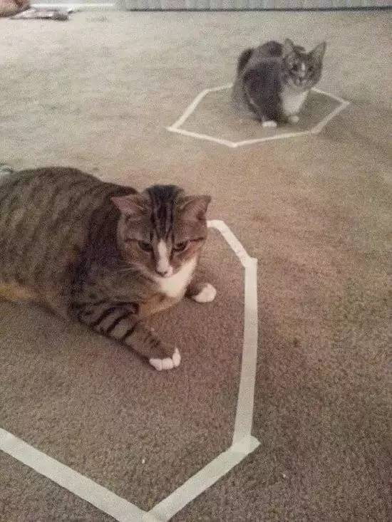 一个圆圈一个猫字一个生字猜成语_圆圈一个封字图片