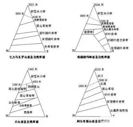 垂直自然带的补充