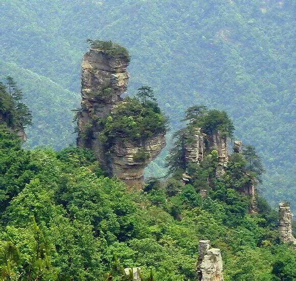 天子山自然风景区---仙女献花