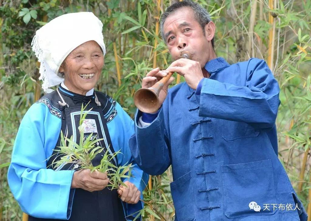 杨光芬我唱山歌颂党恩