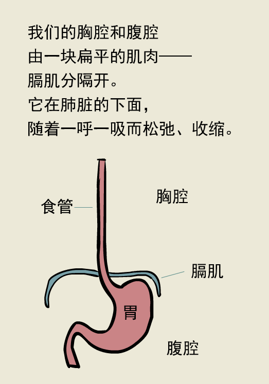 烧心是什么原理_烧心吃什么药