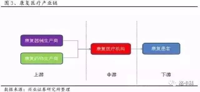 中国人口老龄化的影响_中国人口老龄化趋势图(3)