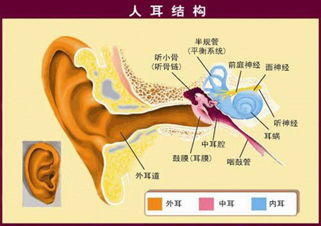 搭飞机耳朵痛怎么调节_耳朵里面痛怎么回事儿(2)