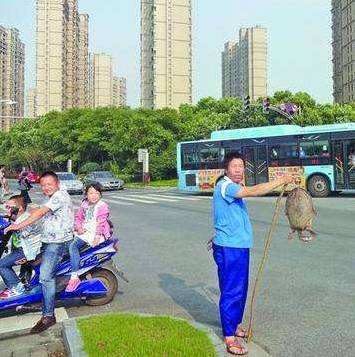 烟台招远总人口是多少_...岛举行.青岛、烟台、威海、招远等地市的机动车安检(2)