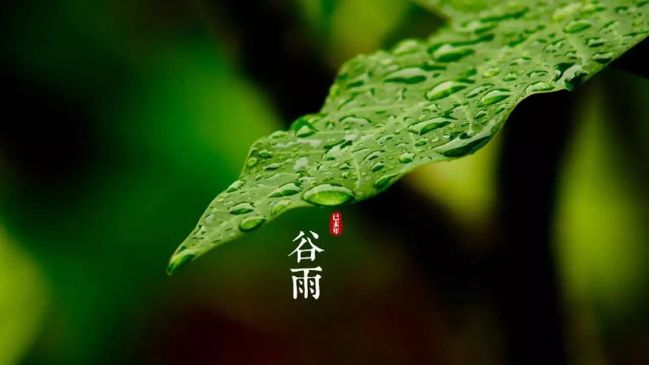 谷雨到,美到窒息的二十四节气动态图,张张都是传统文化中国风!