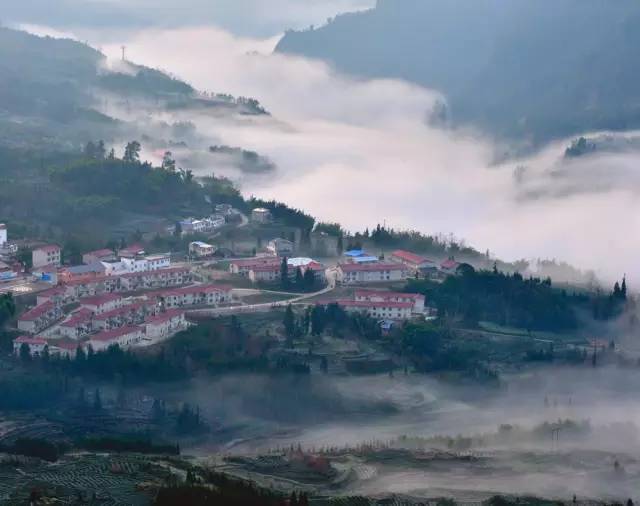 雅安常住人口_雅安职业技术学院