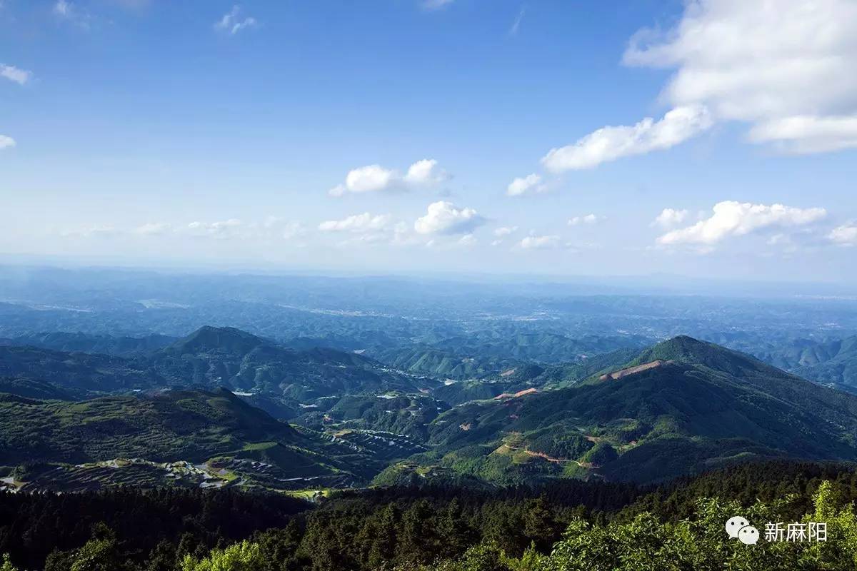 麻阳西晃山:麻阳的仙霞山「西晃山山林」我们走进山林