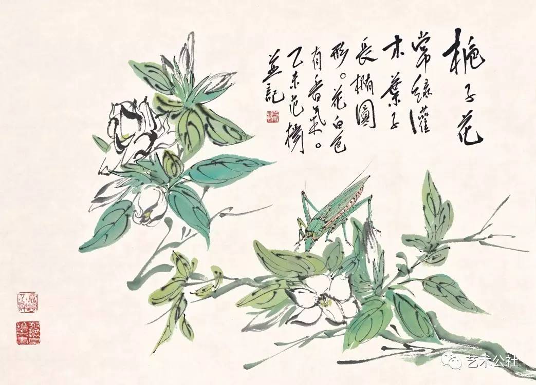 艺术公社·名家品鉴——范扬(花鸟篇)