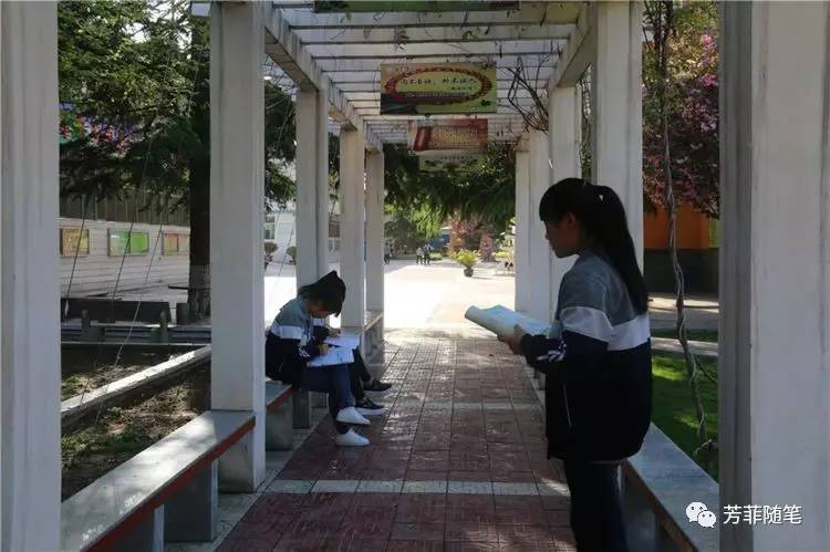 扎根于乡野沃土中的高等学府凤翔县彪角中学