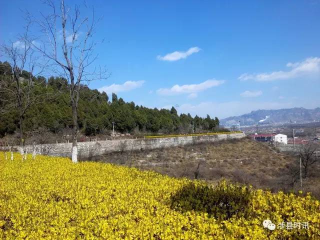 【龙山之春】跳动在山城涉县的"绿心"