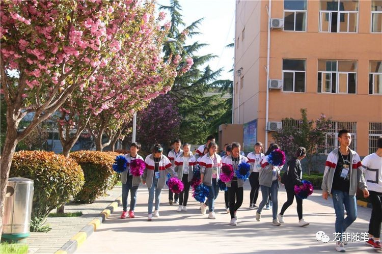 扎根于乡野沃土中的高等学府凤翔县彪角中学