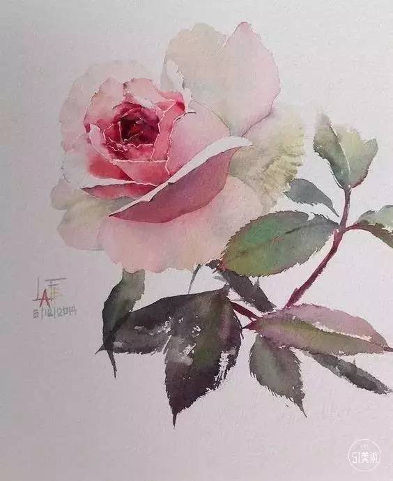 油画画玫瑰用水粉画玫瑰用彩铅画玫瑰也永远画不厌是女生永远的主题