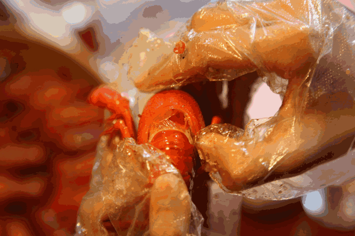店里不单单是煮龙虾的能手 美食君也被科普了正确品鉴小龙虾的吃法