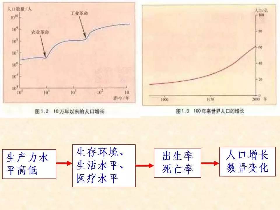 人口的数量变化框架_人口的变化知识框架图