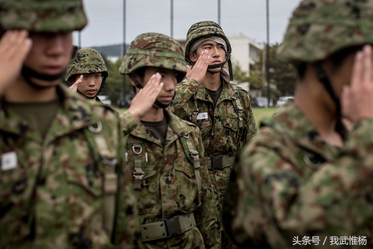 日本的陆军自卫队