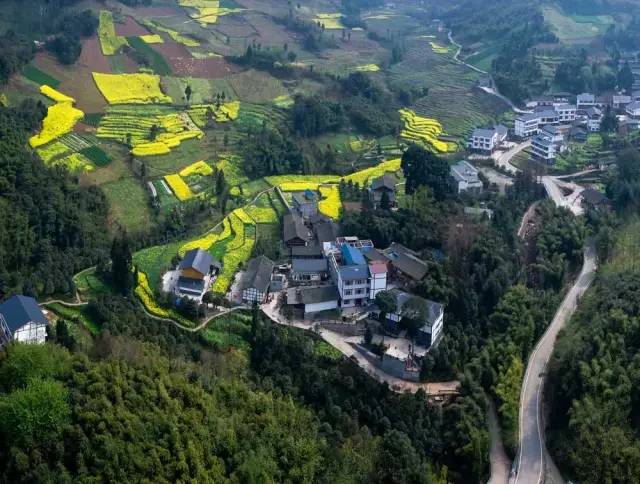 芦山县芦阳镇火炬新村