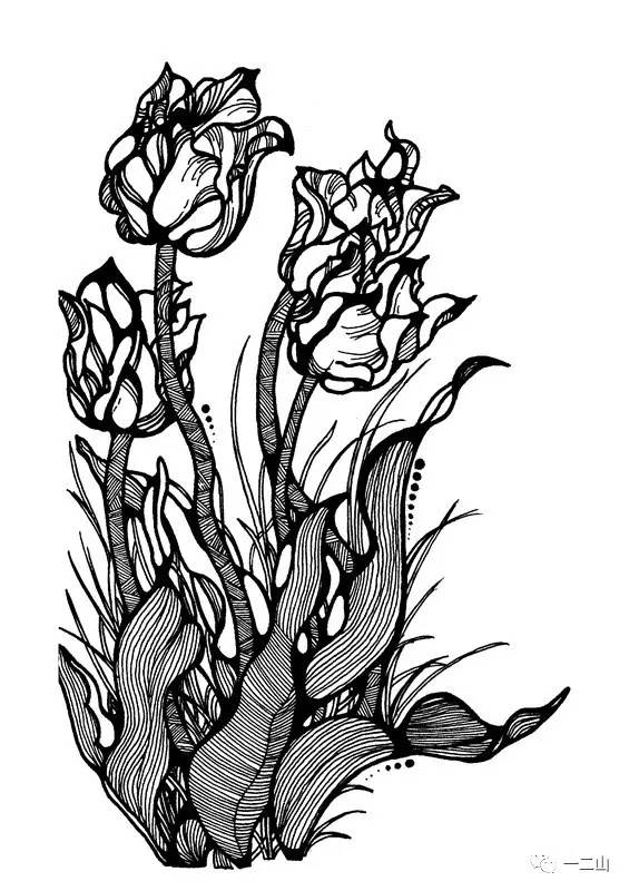 素材丨黑白植物类装饰画
