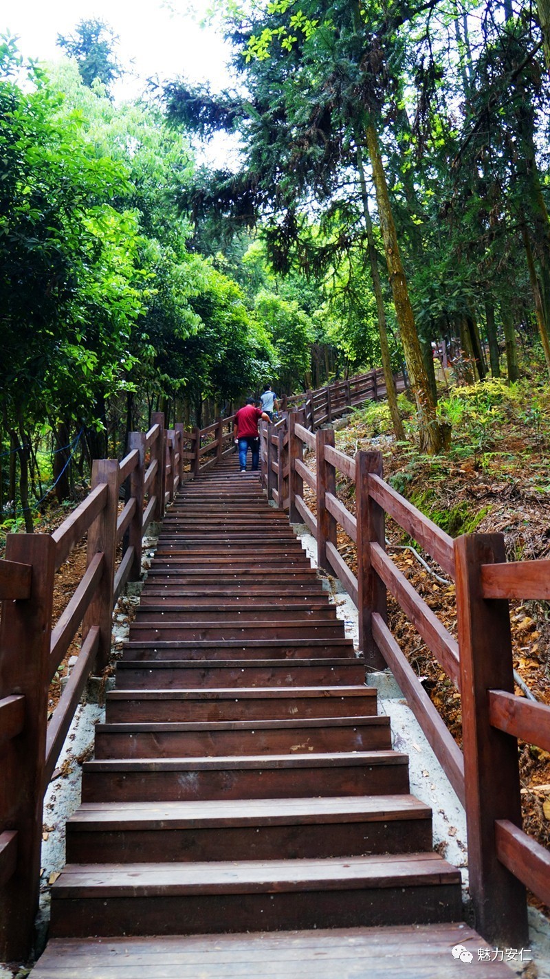 熊峰山新建木栈道美观又舒适