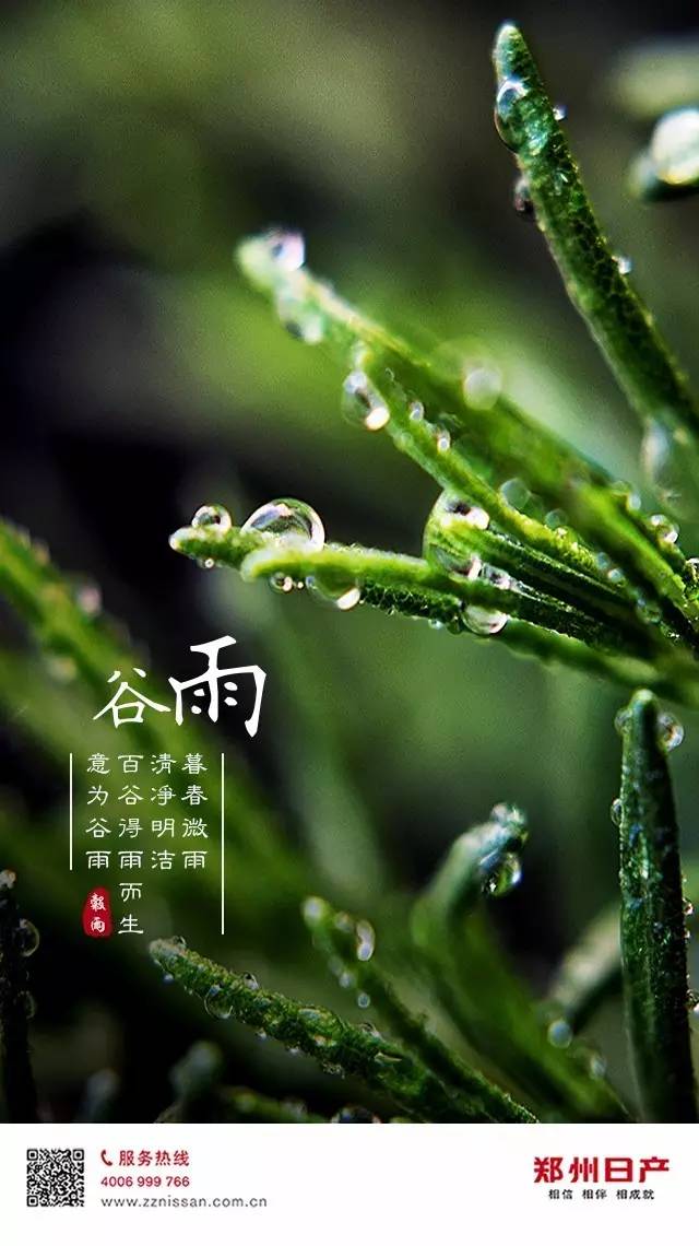 谷雨