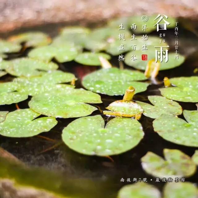 最美的十首谷雨诗词