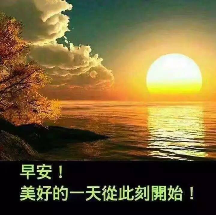 你要做的就是无视嘲笑的声音,给自己打气.早安,朋友!   9.