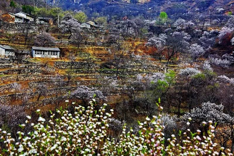 霞春村人口_人口普查