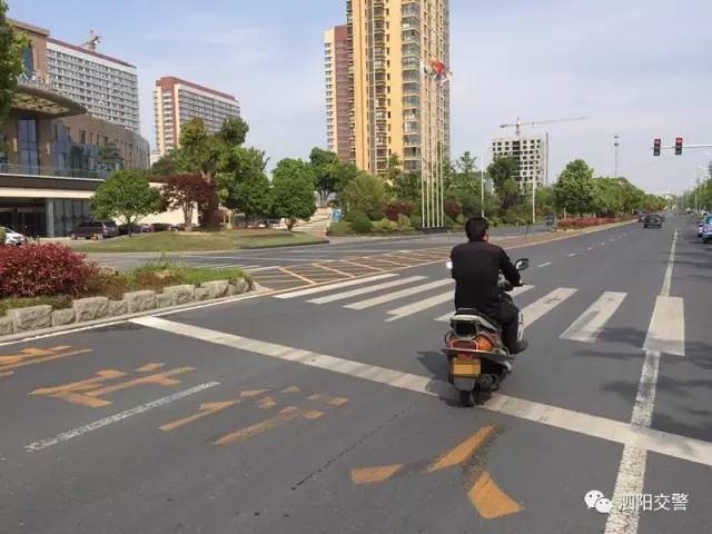 泗阳人口流动_泗阳膘鸡