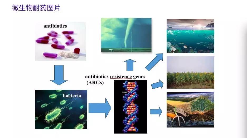 【专访.罗义】抗生素抗性基因所带来的环境污染问题已不容忽视!