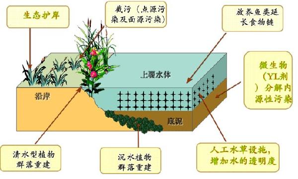 混凝原理是什么_钢筋混凝是什么工作