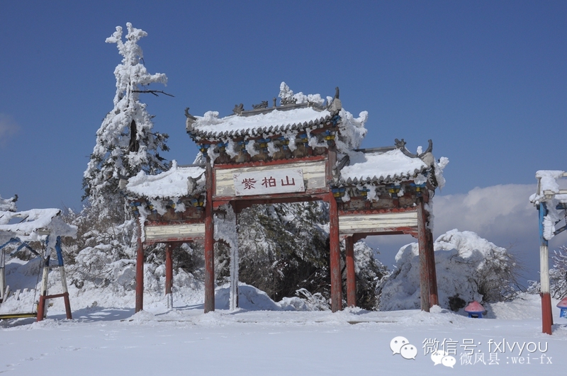 迷人雪景