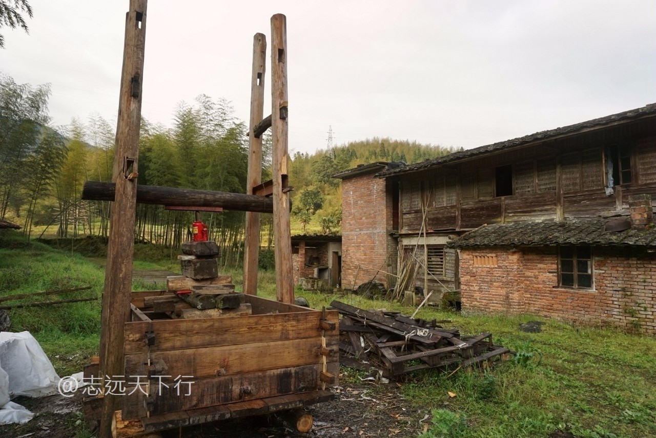 攻略:福建赏花哪里去,永安上坪绝佳处