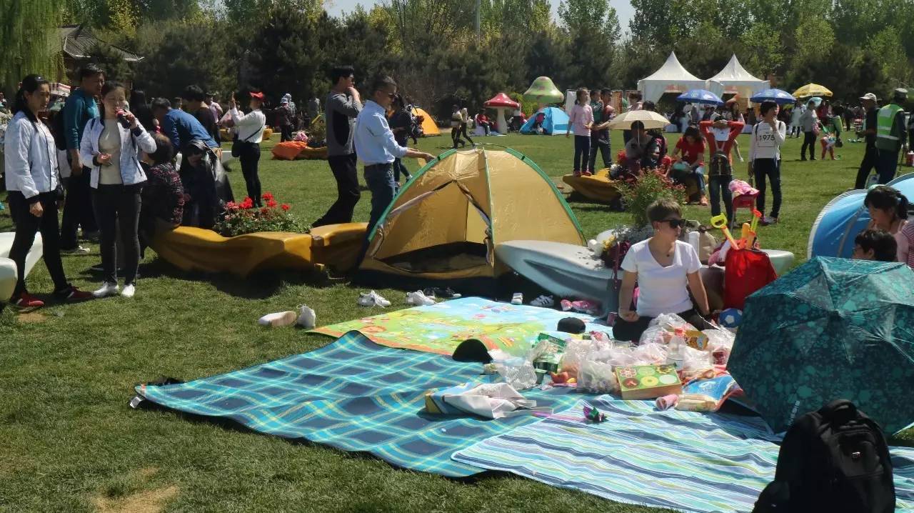 游客们正在搭帐篷,野餐