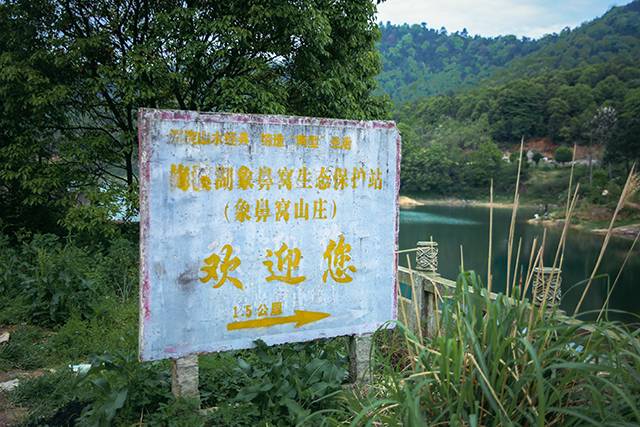 象鼻窝 | 一半生机一半颓败 探秘河西鲜为人知的踏春地