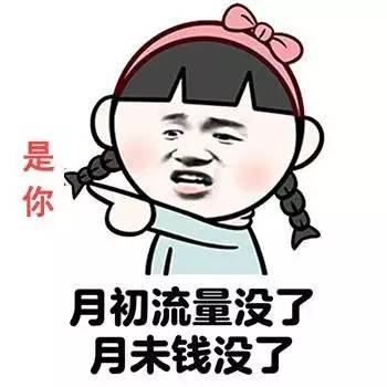 表情包 | 月初流量没了,月末钱没了