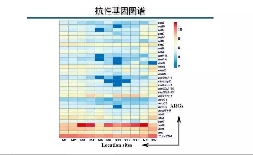 【专访.罗义】抗生素抗性基因所带来的环境污染问题已不容忽视!