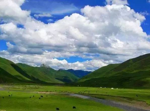 西藏——那曲高寒草原
