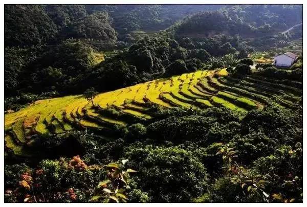 广东惠州市畲族人口有多少_广东惠州市地图