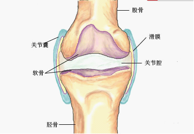 王九正贴帮您解决膝关节滑膜炎的烦恼