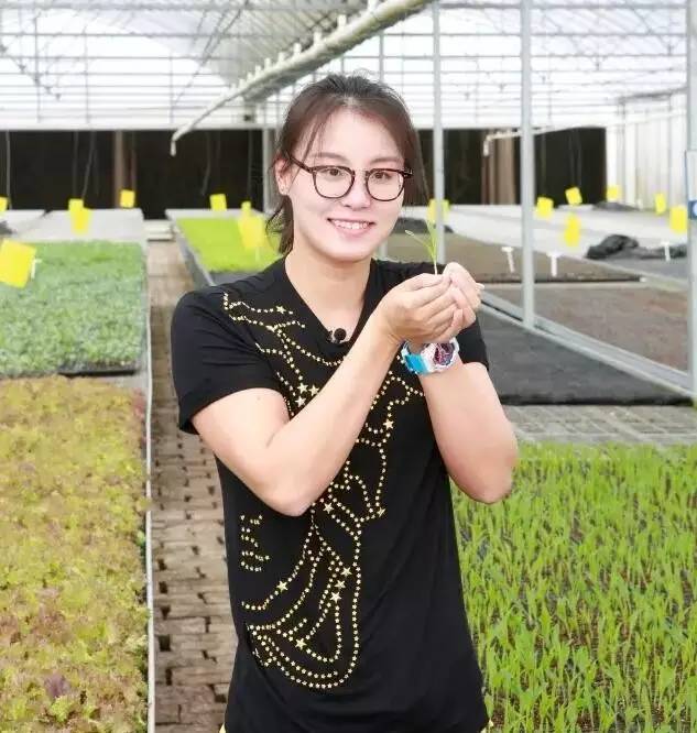 "洪荒少女"傅园慧现身嵊州三界某蔬菜基地!原来