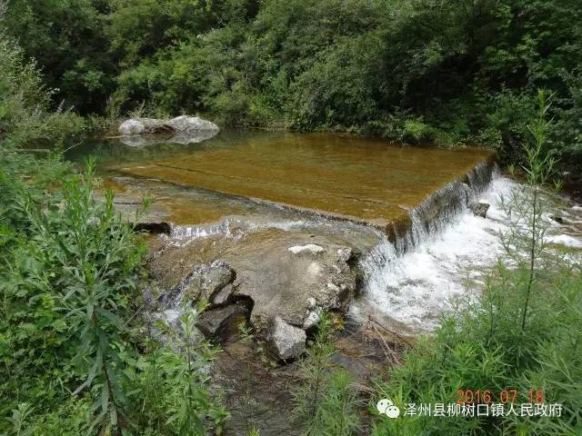 紫金山大云院(位于柳树口镇中村村)