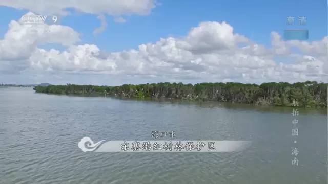 央视播出的大片《航拍中国·海南》,儋州多处