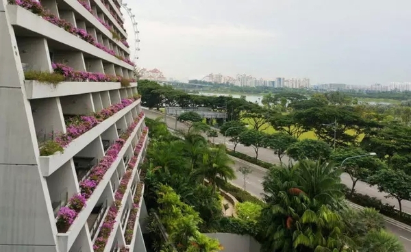 新加坡阳台绿化