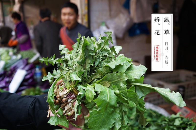 貌不惊人死不休,落英缤纷食花季!