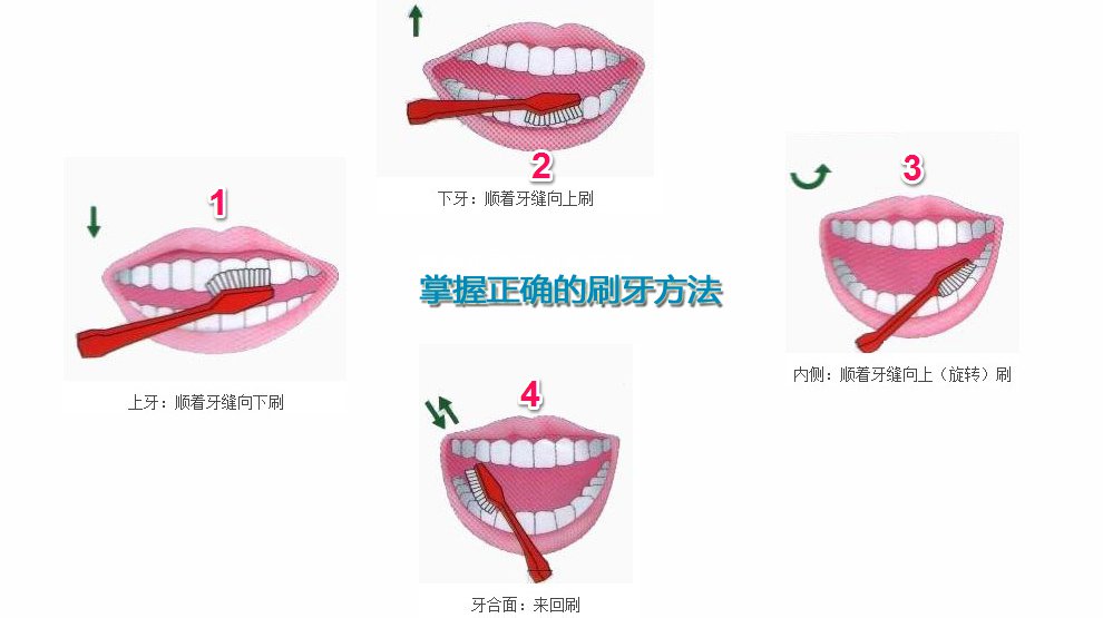 刷牙的正确方法,确定你都做对了吗?