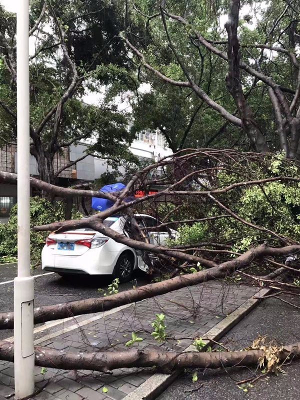 图片来源:广州天气 广州周边的佛山还刮起大风