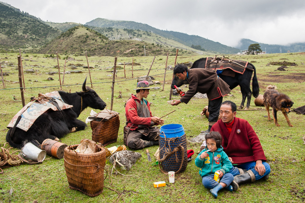一妻多夫的不丹耗牛人
