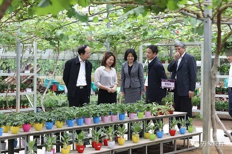 万象花卉多肉多是金华农业金名片,北京来贵宾怎能省略这一站万象花卉