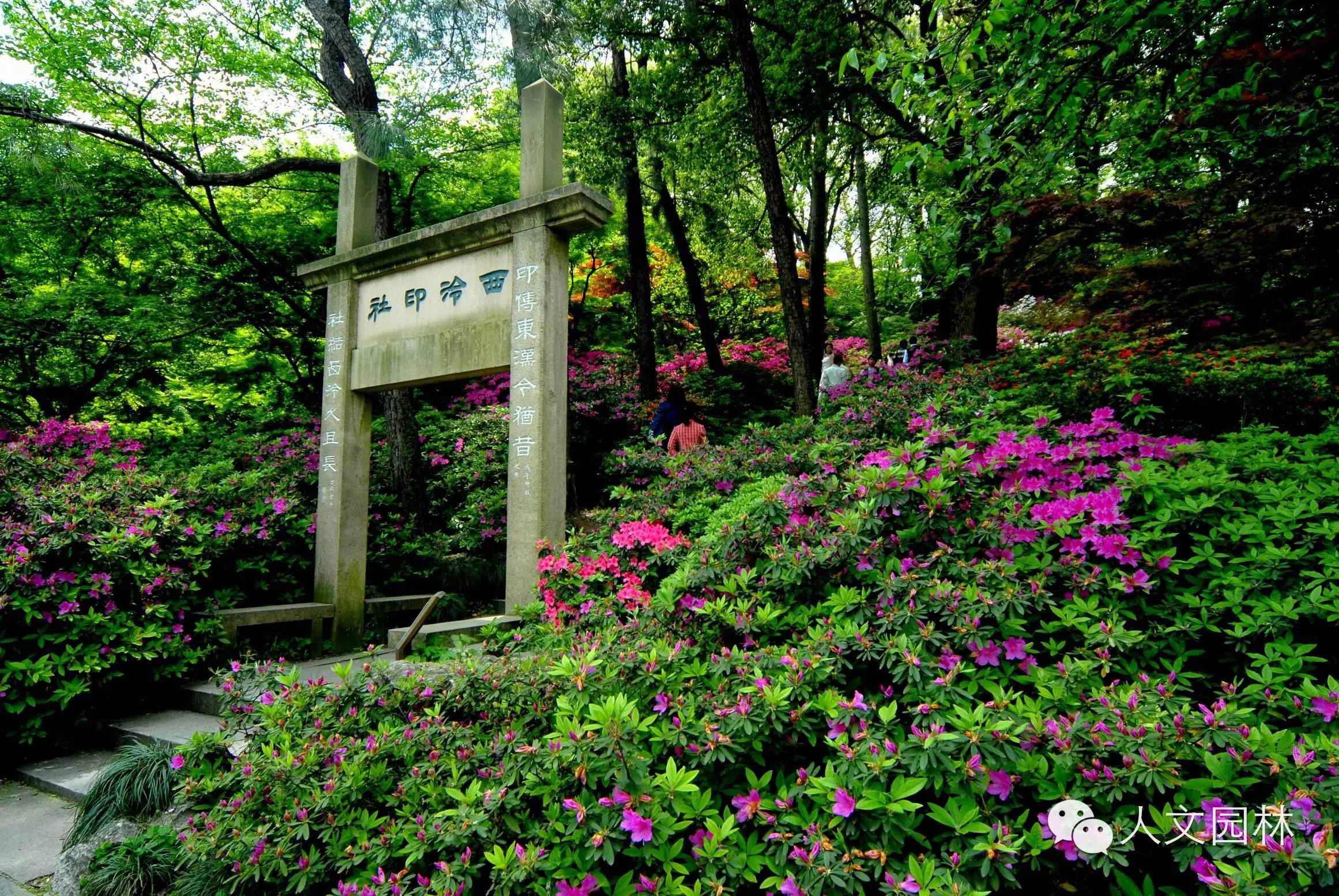 【热卖】《西湖园林植物景观艺术》获得中国风景园林学会科技进步奖