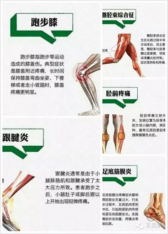 5月12-14日icb生物力学及肌效贴培训